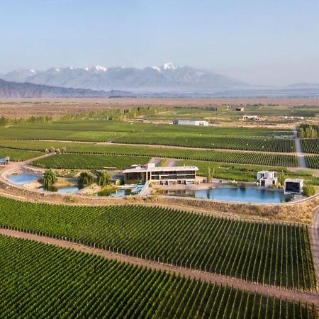 Casa De Uco Vineyards And Wine Resort Los Árboles Dış mekan fotoğraf