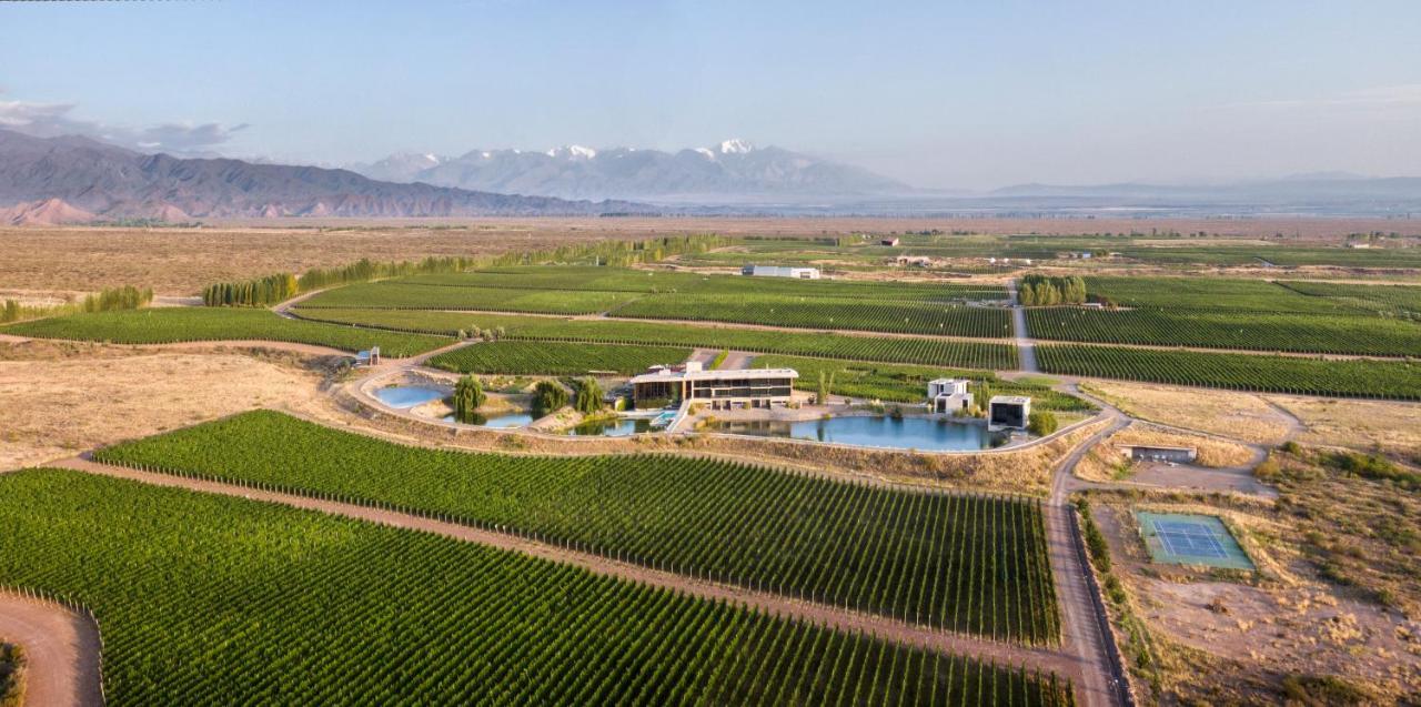 Casa De Uco Vineyards And Wine Resort Los Árboles Dış mekan fotoğraf