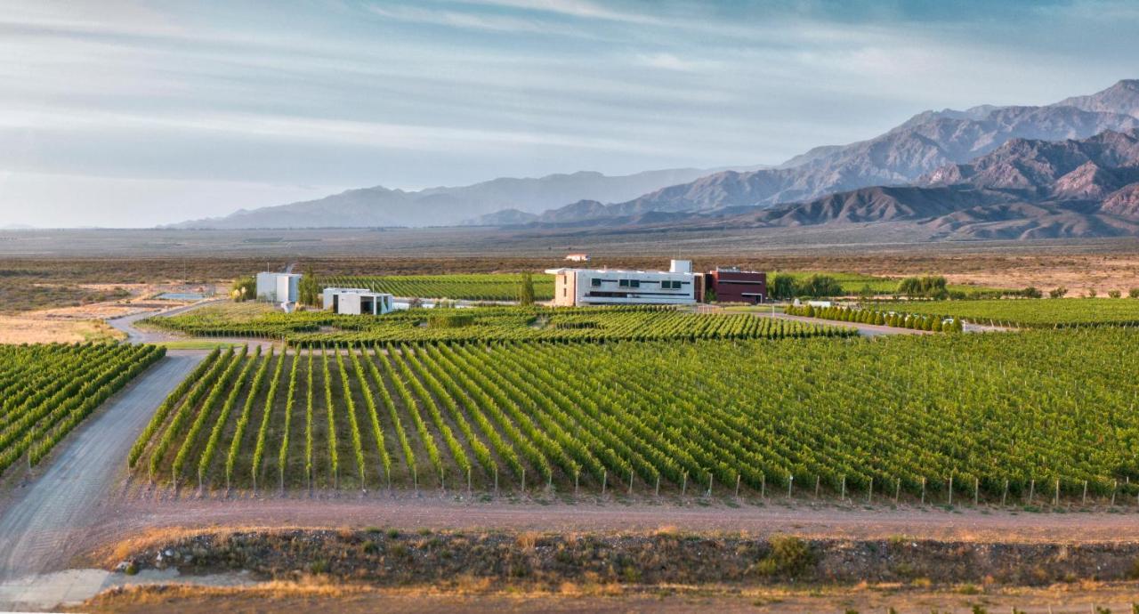 Casa De Uco Vineyards And Wine Resort Los Árboles Dış mekan fotoğraf