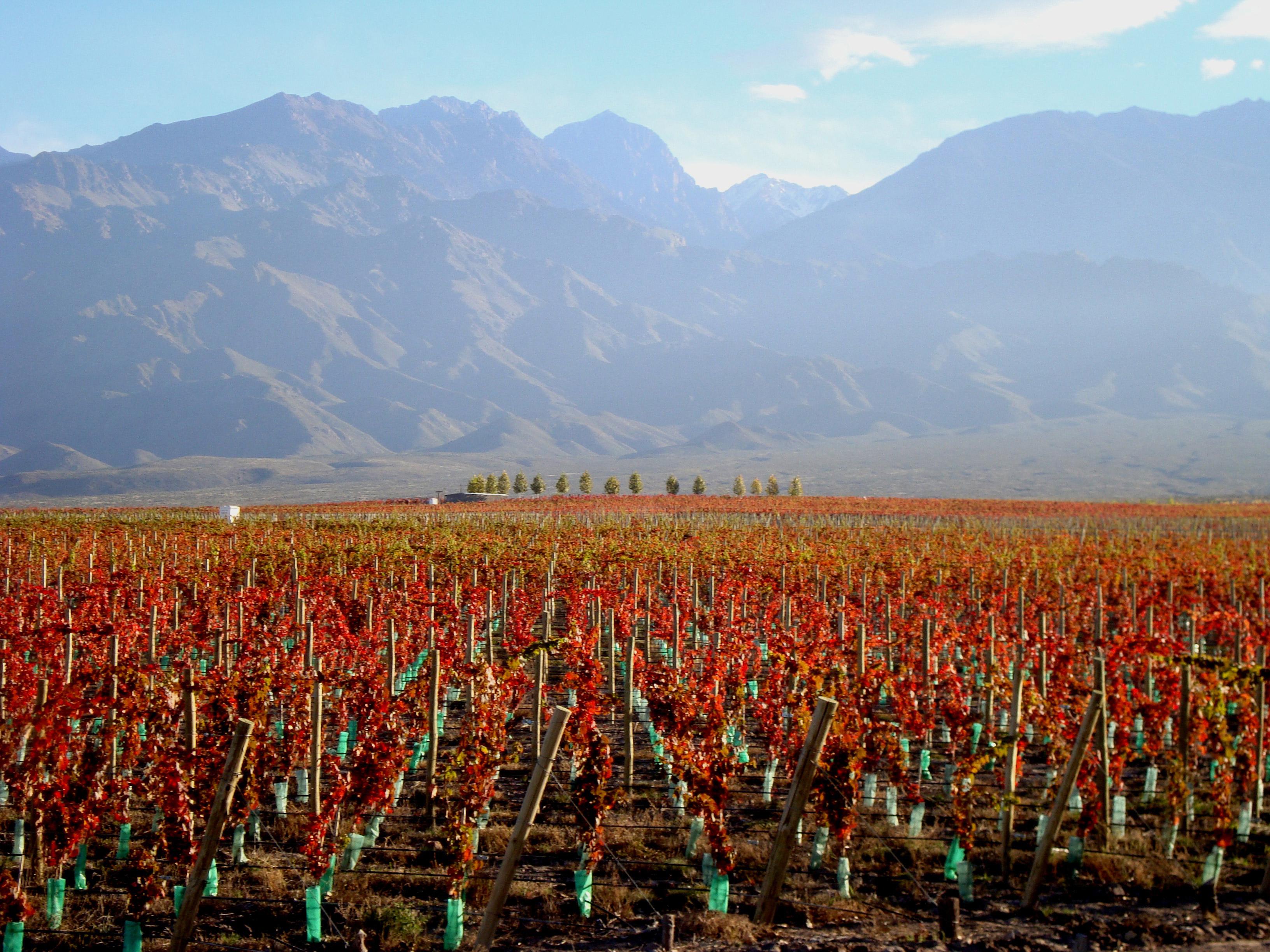 Casa De Uco Vineyards And Wine Resort Los Árboles Dış mekan fotoğraf