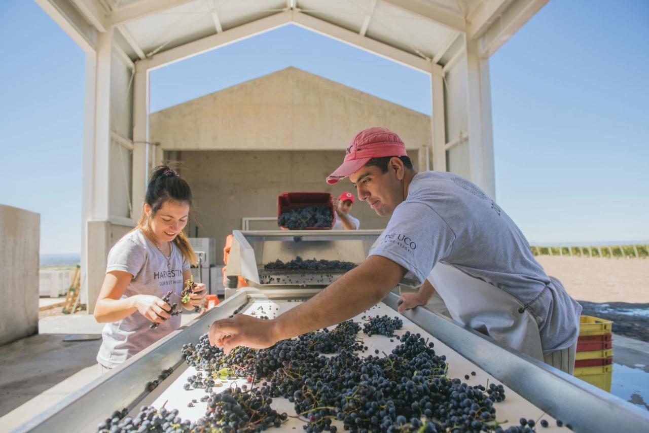 Casa De Uco Vineyards And Wine Resort Los Árboles Dış mekan fotoğraf