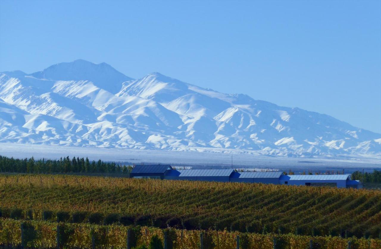 Casa De Uco Vineyards And Wine Resort Los Árboles Dış mekan fotoğraf